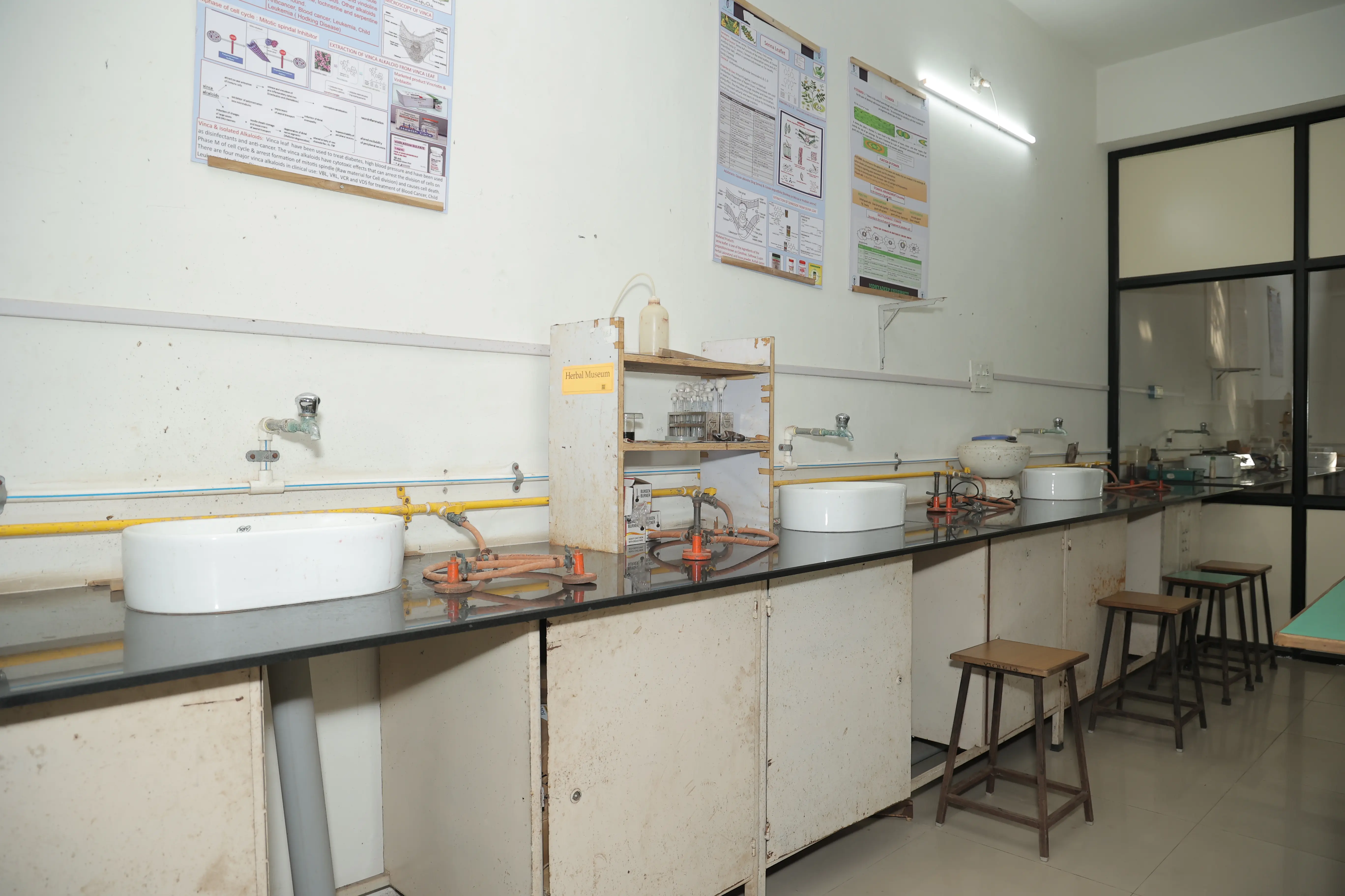 Microbiology Laboratory – 1